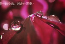 抒情散文：我是一粒尘埃，落定在哪里|搜美文(汇聚美文)-美文摘抄