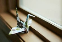 抒情散文：你的幸福你作主|搜美文(汇聚美文)-美文摘抄
