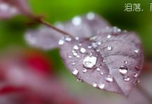 抒情散文：泪落，雨下|搜美文(汇聚美文)-美文摘抄