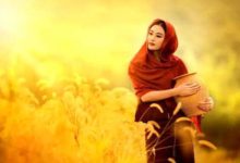抒情散文：只待风起，碧云疏影入秋画|搜美文(汇聚美文)-美文摘抄