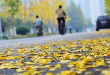 感悟生活：不要再做老好人，不要再敏感脆弱|搜美文(汇聚美文)-美文摘抄