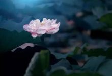 抒情散文：如何处理家庭矛盾|搜美文(汇聚美文)-美文摘抄