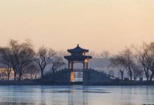 抒情散文：捻一朵花香，在文字中芬芳|搜美文(汇聚美文)-美文摘抄