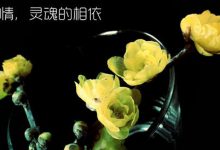 抒情散文：感情，灵魂的相依|搜美文(汇聚美文)-美文摘抄