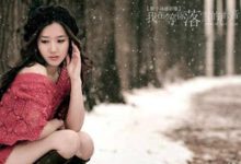 抒情散文：雪夜，好想枕着你的肩膀入梦|搜美文(汇聚美文)-美文摘抄