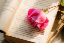 抒情散文：爱的甜酸苦辣|搜美文(汇聚美文)-美文摘抄