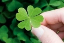 抒情散文：每一朵浪花都有一场激越的梦|搜美文(汇聚美文)-美文摘抄