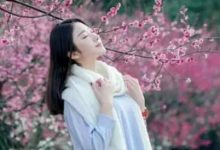 抒情散文：相逢如初见，犹似故人归|搜美文(汇聚美文)-美文摘抄