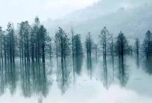 处世之道：好人品的六个标准，你符合几个|搜美文(汇聚美文)-美文摘抄