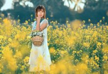 抒情散文：春之声，心之语|搜美文(汇聚美文)-美文摘抄