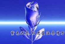 抒情散文：紫色之恋，相思蕴涵柔情万千|搜美文(汇聚美文)-美文摘抄