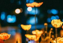 友情天地：他们|搜美文(汇聚美文)-美文摘抄