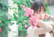 抒情散文：旧城安暖，花开温良|搜美文(汇聚美文)-美文摘抄