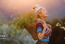 抒情散文：含情脉脉，在美中相遇|搜美文(汇聚美文)-美文摘抄