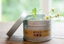 感悟生活：趁我们还年轻|搜美文(汇聚美文)-美文摘抄