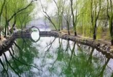 感悟生活：面子啊，面子|搜美文(汇聚美文)-美文摘抄