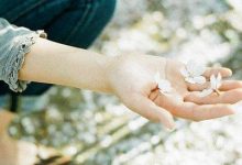 情感：懂得太多，看的太透，你就会变成世界的孤儿|搜美文(汇聚美文)-美文摘抄