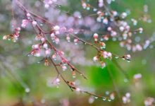 抒情散文：一指流砂，一段年华|搜美文(汇聚美文)-美文摘抄
