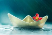 处世之道：如何与这个世界更好的相处|搜美文(汇聚美文)-美文摘抄