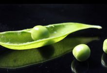 感悟生活：人生的博弈|搜美文(汇聚美文)-美文摘抄