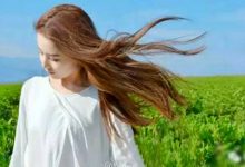 抒情散文：低眉，与温暖同行|搜美文(汇聚美文)-美文摘抄