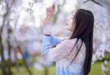 抒情散文：尘心深梦，痴爱一生|搜美文(汇聚美文)-美文摘抄