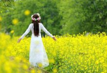 抒情散文：生活，是一树花开|搜美文(汇聚美文)-美文摘抄