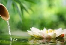 感悟生活：一起一落是人生，一朝一夕是日子|搜美文(汇聚美文)-美文摘抄
