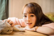 情感：如果不是为了相互温暖，人们其实不必结婚|搜美文(汇聚美文)-美文摘抄