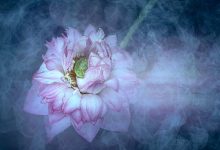 感悟生活：人字好写却难做，心字简单却难懂|搜美文(汇聚美文)-美文摘抄