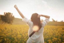 感悟生活：若，人生如初见|搜美文(汇聚美文)-美文摘抄