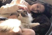 晚安心语：我可以好脾气，但我凭什么惯着你|搜美文(汇聚美文)-美文摘抄